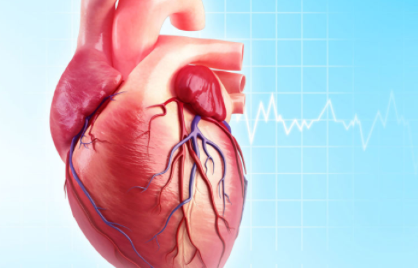 suy tim phải có gây tràn dịch màng phổi không
