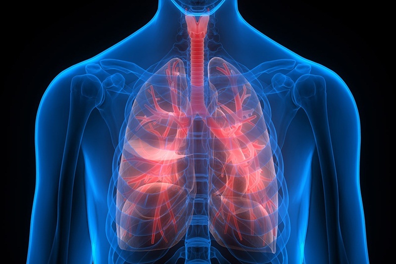 Sống khỏe nhờ biết giải pháp ngăn ngừa viêm phế quản phổi