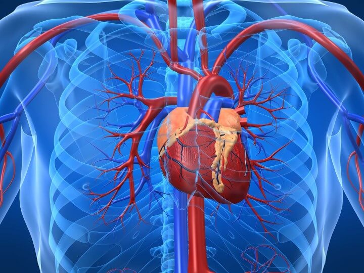 thông tin về suy tim sung huyết không chữa được là sai