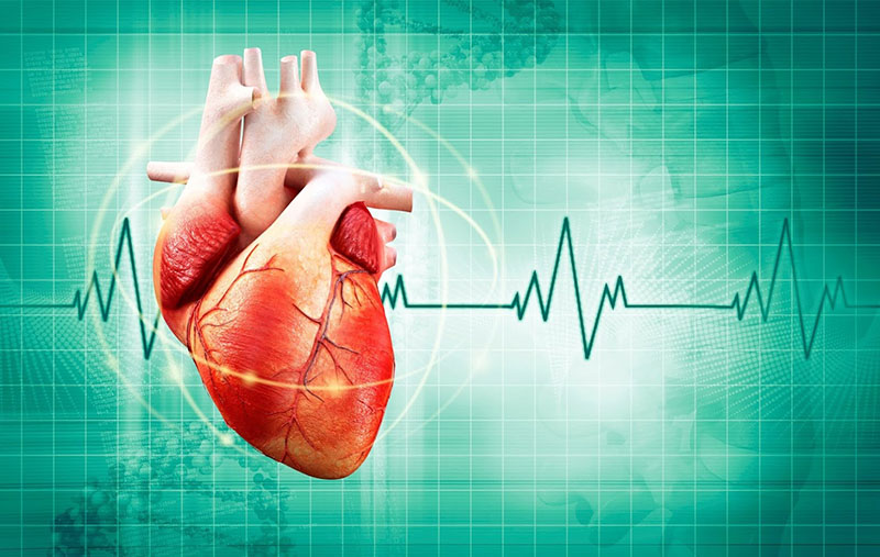 Thường xuyên kiểm tra nhịp tim để biết mình khỏe hay bệnh