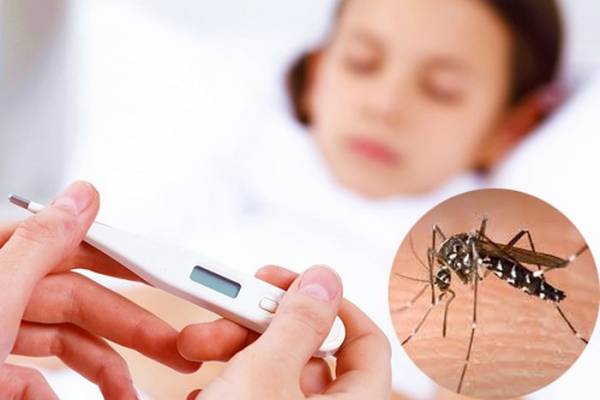 Kiểm soát sốt xuất huyết dengue
