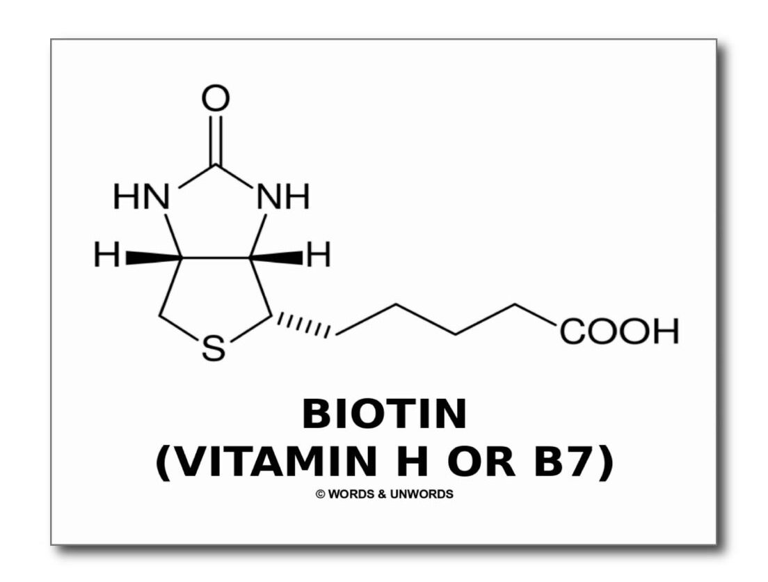 vitamin-H