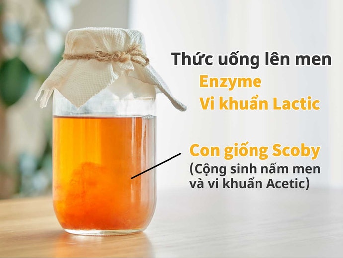 nước uống kombucha - thức uống hot dạo gần đây!!!