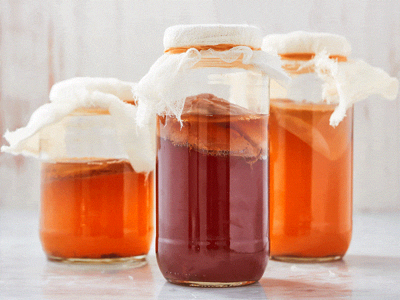 Chúng ta có đang uống kombucha đúng cách