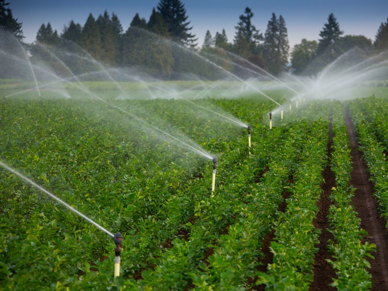 nước đối với nông nghiệp