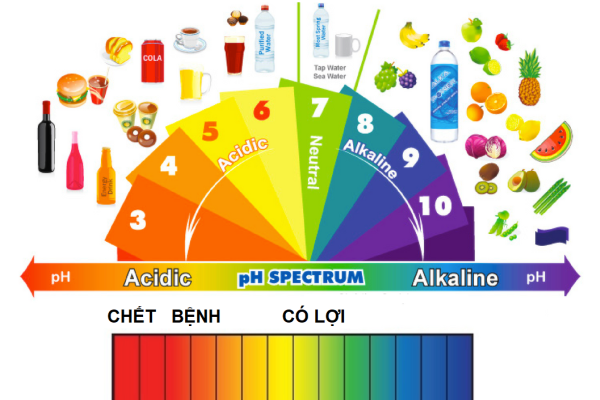  Nâng cao sức khỏe bằng phương pháp kiềm hóa