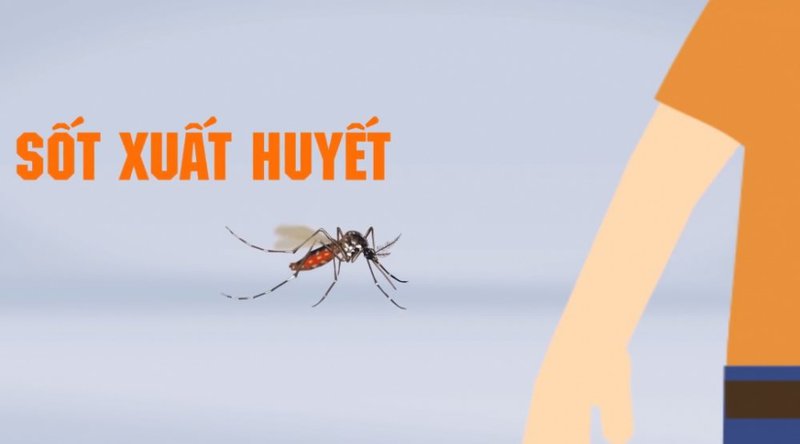 Các chuyên gia nói gì về sốt xuất huyết. Bạn cần lưu ý gì khi bị sốt xuất huyết?