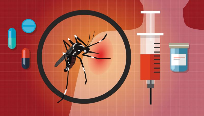 Sốt xuất huyết nguy hiểm như thế nào? Thông tin thêm về bệnh sốt xuất huyết.