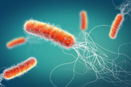 Bệnh lỵ trực khuẩn không nên chủ quan. Lỵ trực khuẩn là bệnh như thế nào?
