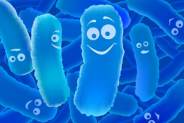 Vi khuẩn đang dần bao phủ cuộc sống xung quanh chúng ta