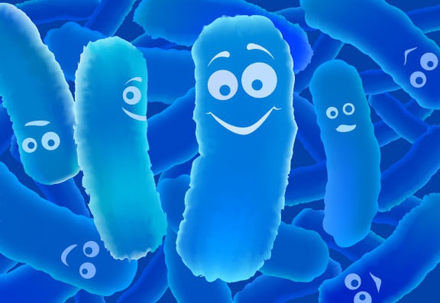 Vi khuẩn đang dần bao phủ cuộc sống xung quanh chúng ta