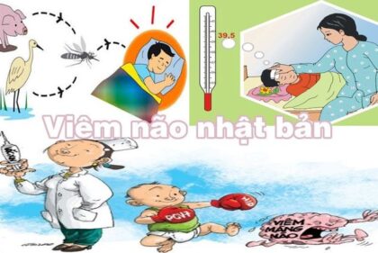 Căn bệnh nguy hiểm viêm não Nhật Bản