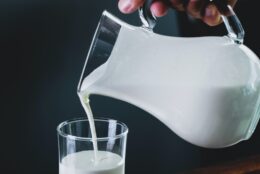 sữa tươi organic