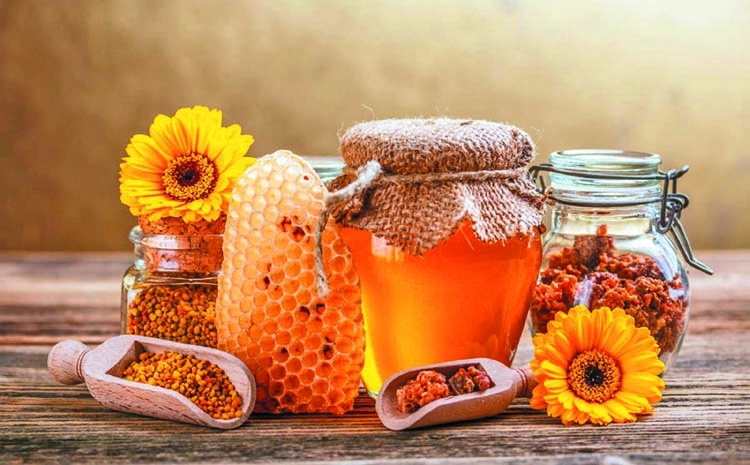 Giải đáp các thắc mắc xung quanh mật ong hoa nhãn và lợi ích mà nó mang lại