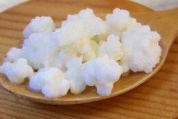 Nấm sữa kefir là gì và các công dụng của nấm sữa kefir đối với sức khỏe