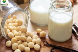 Những công dụng tuyệt vời của sữa hạt macca với sức khỏe mà bạn chưa biết
