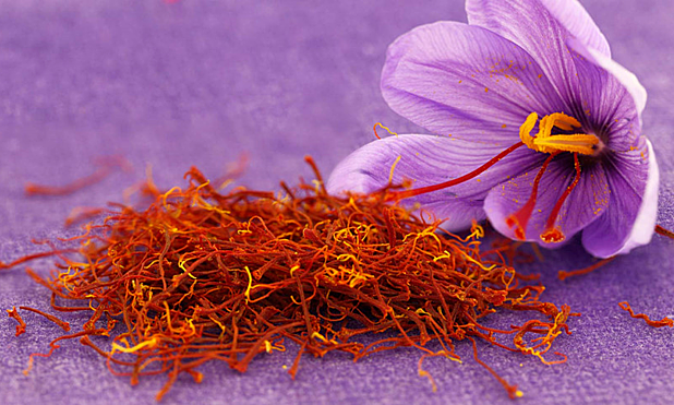 Saffron là gì và lý do vì sao saffron lại được nhiều người yêu thích như vậy